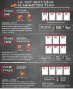 Αντιφθειρική Ηλεκτρική Χτένα για Ψείρες με Αναρρόφηση, χωρίς Φάρμακα ή Αλλεργιογόνες Ουσίες.