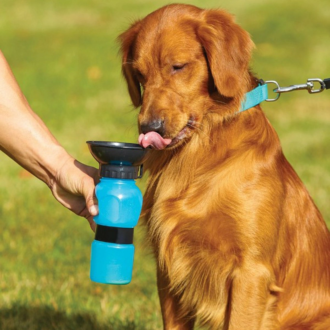 Μπουκάλι Νερού για Κατοικίδια 500ml Μπουκάλι Νερού για Κατοικίδια 500ml