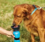 Μπουκάλι Νερού για Κατοικίδια 500ml