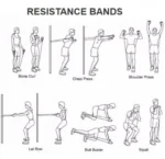 Σύστημα Εκγύμνασης Με 5 Λάστιχα Power Resistance Bands JT-003