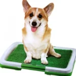 Φορητή Τουαλέτα για Κατοικίδια - Puppy Toilet Training Tray