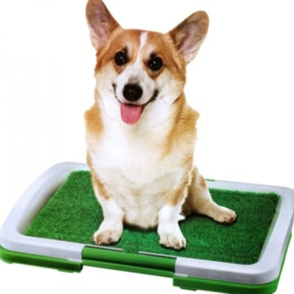 Φορητή Τουαλέτα για Κατοικίδια - Puppy Toilet Training Tray