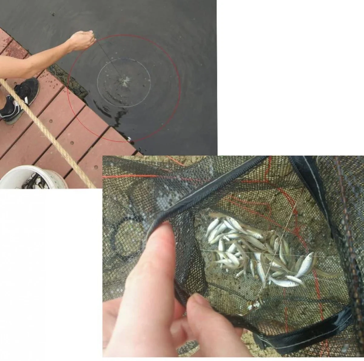 Τηλεσκοπική Παγίδα για Ψάρια - Κιούρτος με 16 Τρύπες - Εισόδους