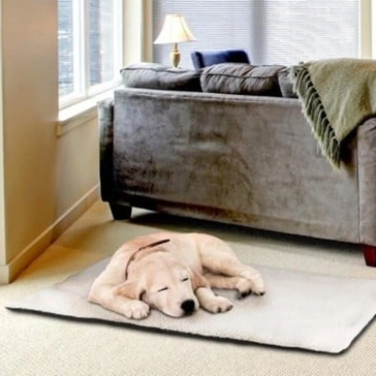 Χαλάκι Κατοικίδιων - Heating Pet Bed