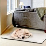Χαλάκι Κατοικίδιων - Heating Pet Bed