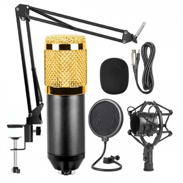 Πυκνωτικό Μικρόφωνο με Βάση Στήριξης και Pop Filter