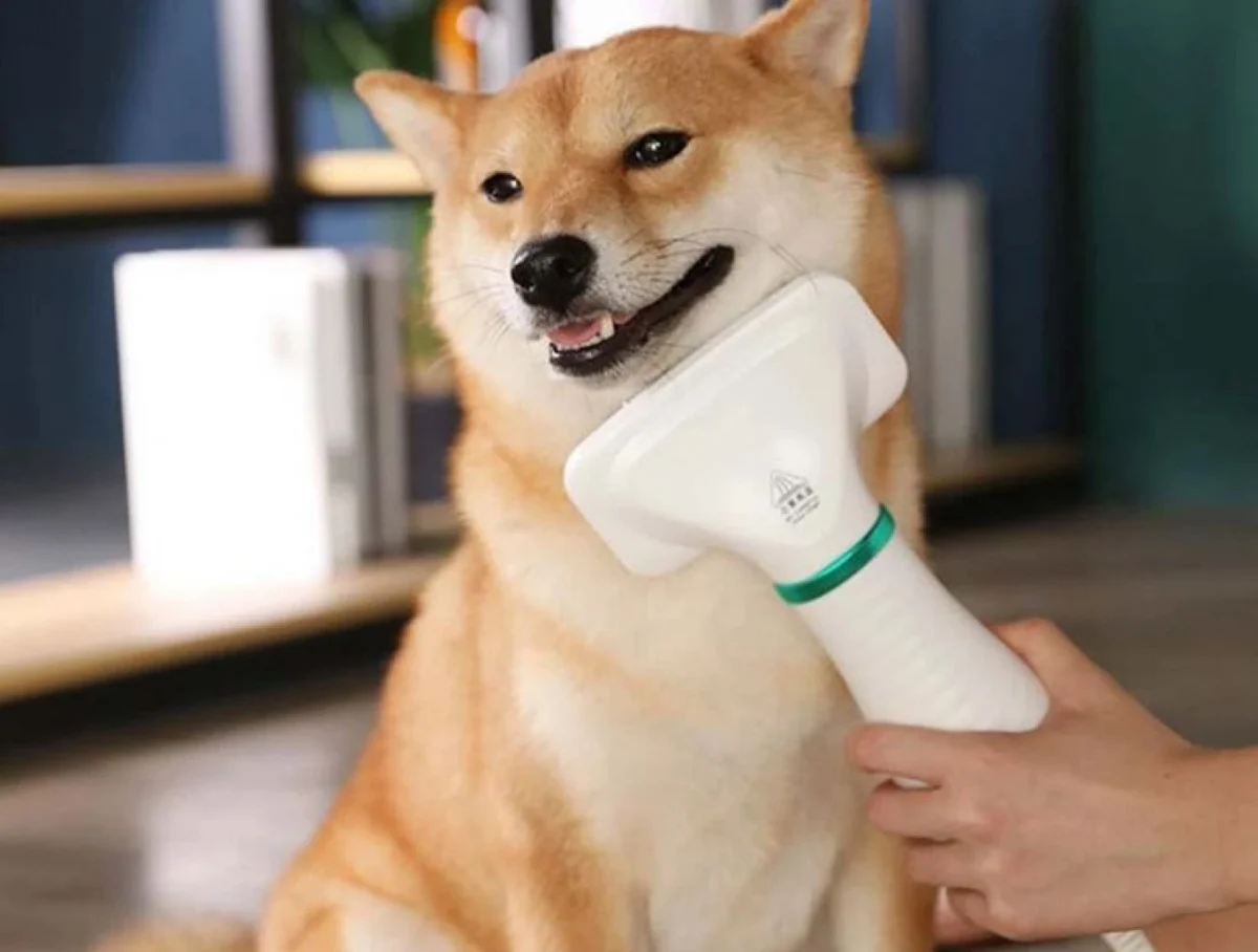 Pet Grooming Dryer Slicker 2 σε1 Βούρτσα με Ενσωματωμένο Στεγνωτήρα