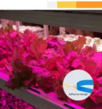 Αυτοκόλλητη Ταινία LED 3m USB Ανάπτυξης & Καλλιέργειας Φυτών Full Spectrum - Φωτιστικό Θερμοκηπίου Εσωτερικού Χώρου - Plant Grow Light Strip