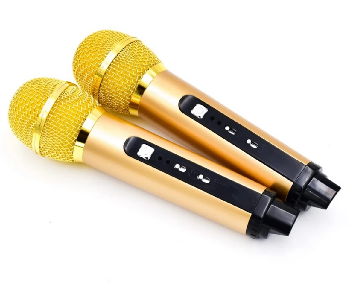 Φορητό Ηχοσύστημα Bluetooth USB/SD Karaoke Με 2 Μικρόφωνα Mp3 Player - Multimedia Speaker Μαύρο SD-305 Μαύρο