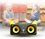 Φορητό Ηχοσύστημα Bluetooth USB/SD Karaoke Με 2 Μικρόφωνα Mp3 Player - Multimedia Speaker Μαύρο SD-305 Μαύρο