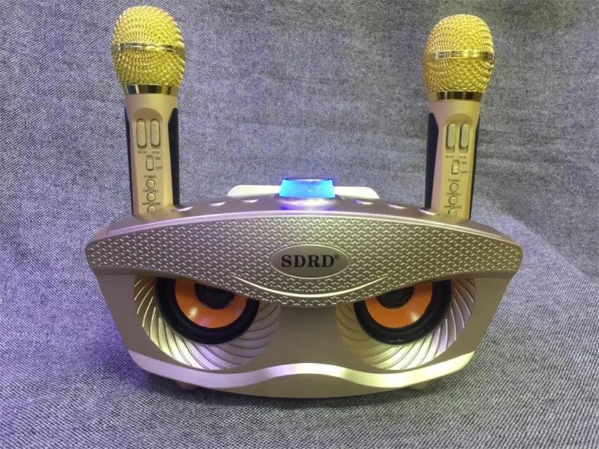 Φορητό Ηχοσύστημα Bluetooth USB/SD Karaoke Με 2 Μικρόφωνα Mp3 Player - Multimedia Speaker Μαύρο SD-306 Χρυσό