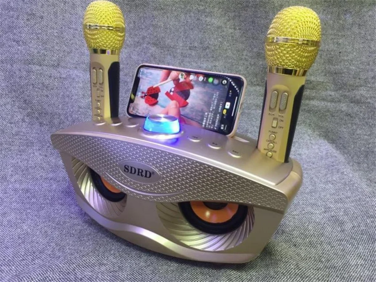 Φορητό Ηχοσύστημα Bluetooth USB/SD Karaoke Με 2 Μικρόφωνα Mp3 Player - Multimedia Speaker Μαύρο SD-306 Χρυσό