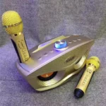 Φορητό Ηχοσύστημα Bluetooth USB/SD Karaoke Με 2 Μικρόφωνα Mp3 Player - Multimedia Speaker Μαύρο SD-306 Χρυσό