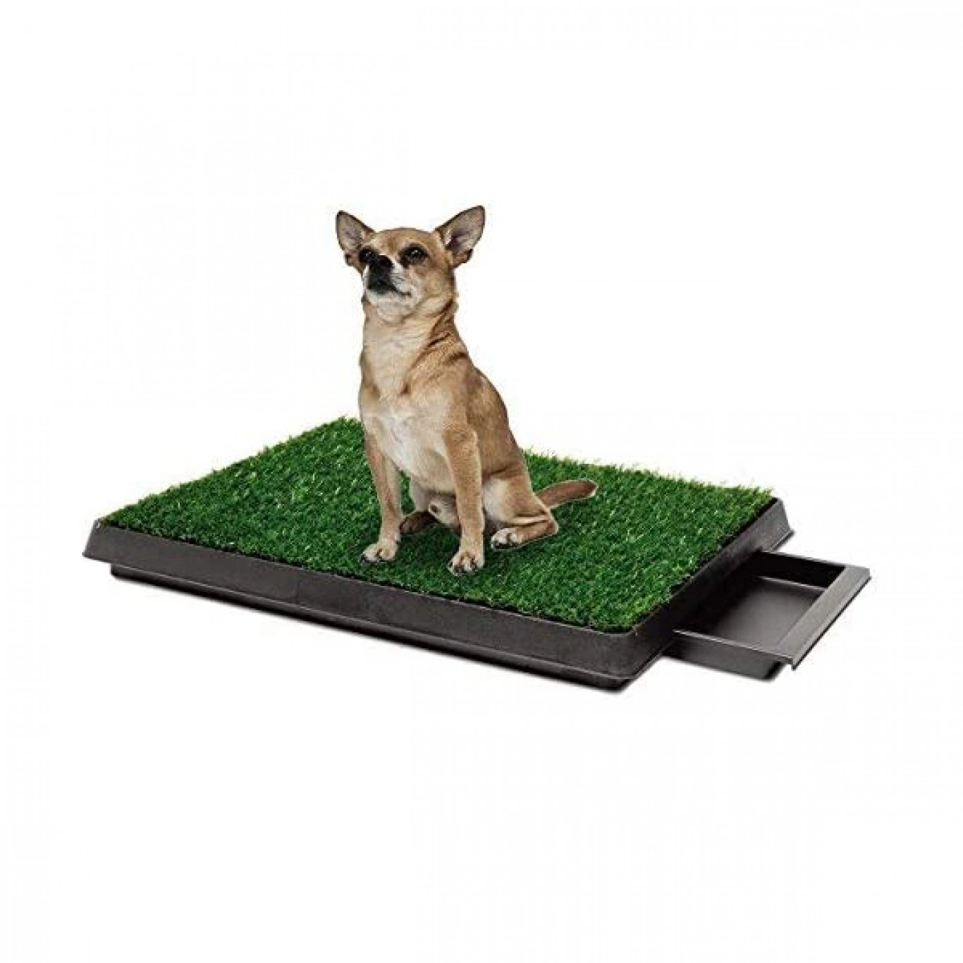 Τουαλέτα Κατοικιδίων Pet Potty 64x51cm Τουαλέτα Κατοικιδίων Pet Potty 64x51cm