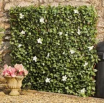 Τεχνητός Φράχτης Με Φύλλωμα Κισσού και Λευκά Άνθη 160x90cm