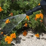 Δοχείο Προπίεσης - Ψεκασμού με Αντλία Πίεσης 2lt SPTA2080