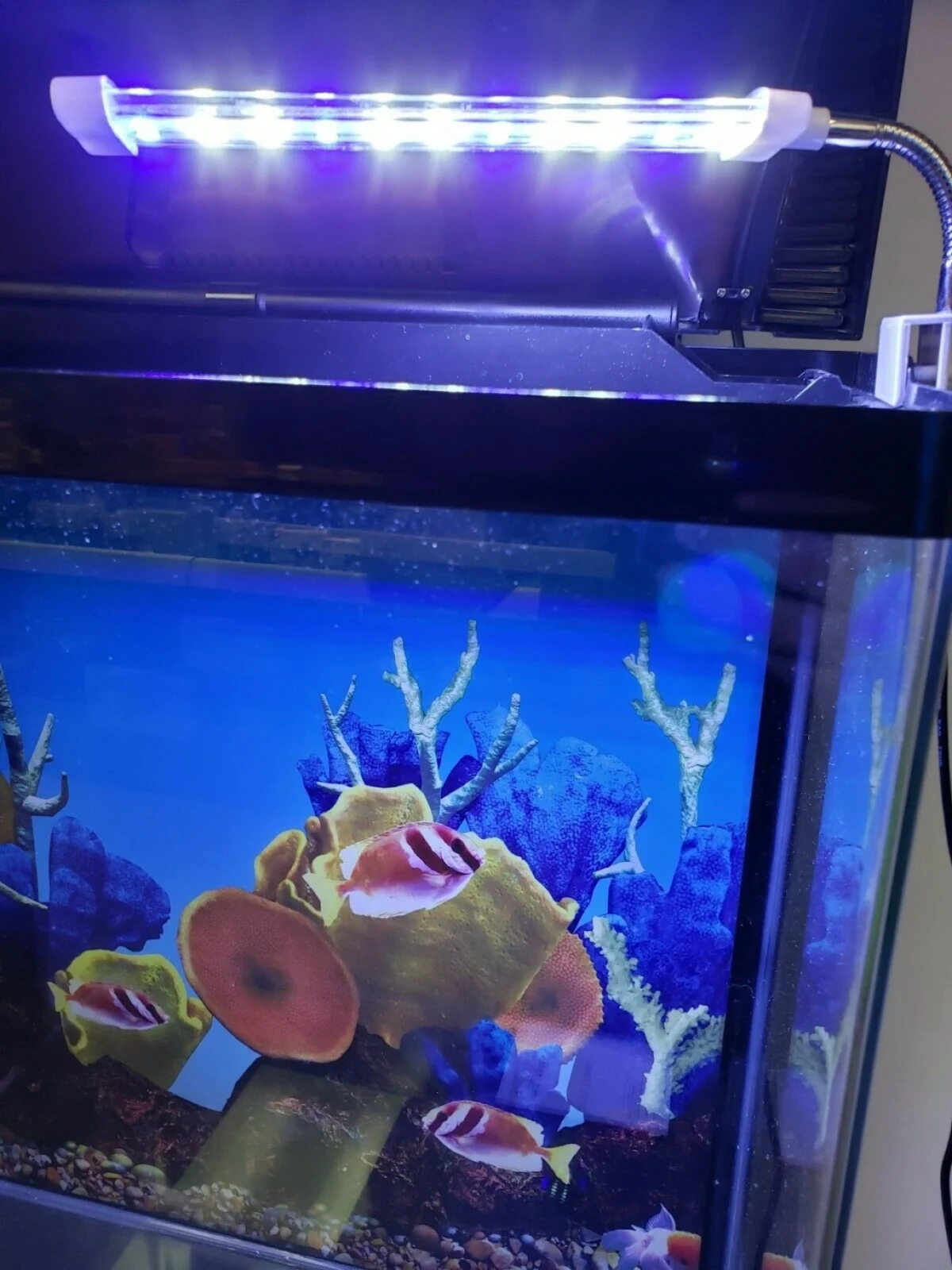 Φωτιστικό 8W Deebow Dee-D5 με Ιδανικό Φως Ημέρας 6800K για τον Φωτισμό του Ενυδρείου