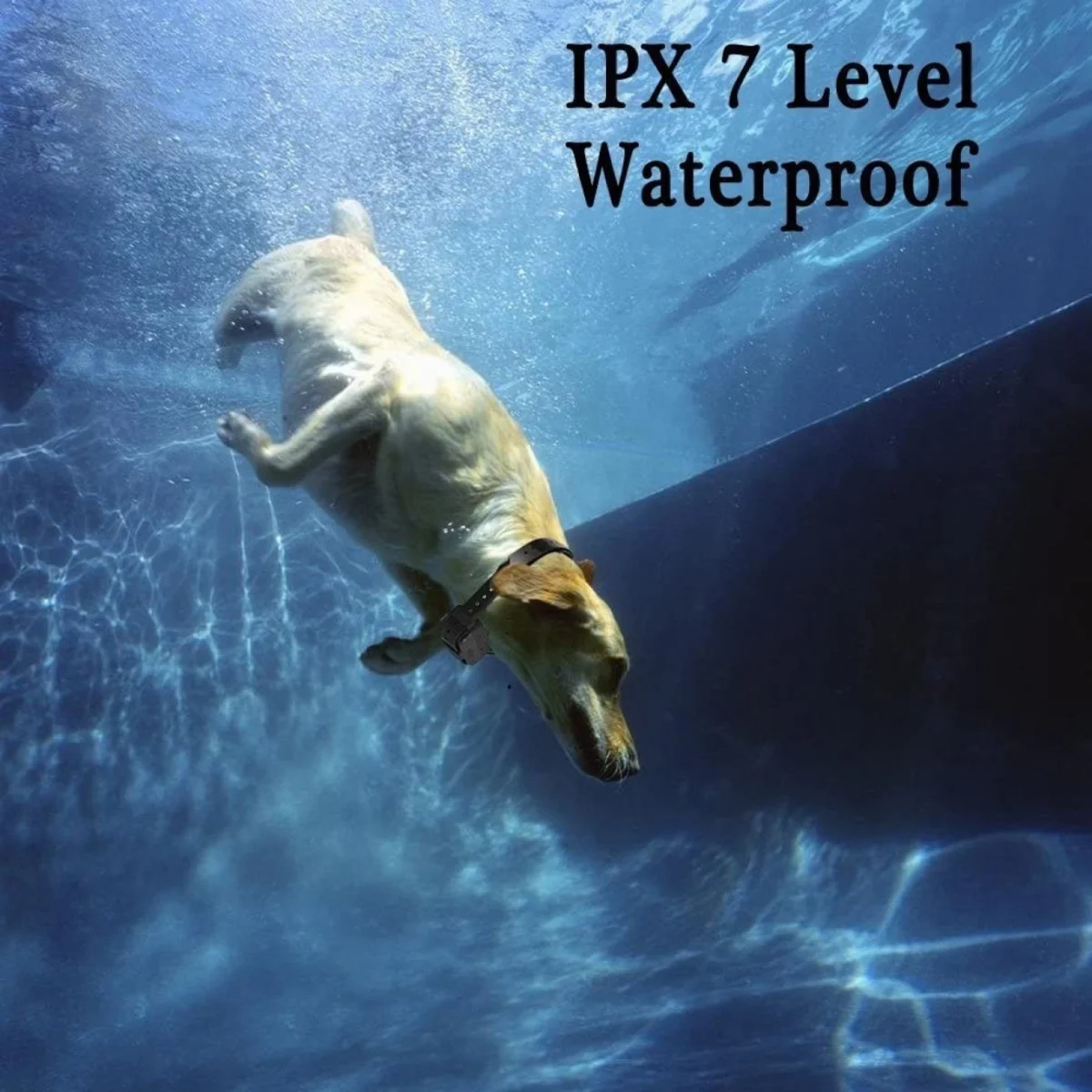 Επαναφορτιζόμενο Ηλεκτρονικό Κολάρο Εκπαίδευσης Σκύλου 2000 μέτρων - Dog Trace