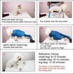 Στεγνωτήριο - Συσκευή Στεγνώματος Σκύλου - Dog Dryer Bag