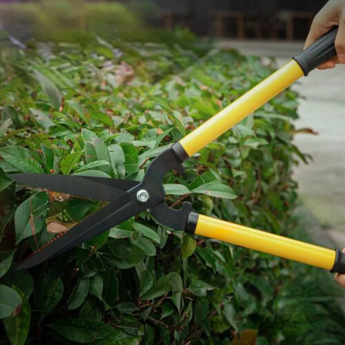 Πτυσσόμενο Κλαδευτήρι 57-75cm με Ανοξείδωτη Λεπίδα & Εργονομική Λαβή - Επεκτεινόμενο Ψαλίδι Κήπου