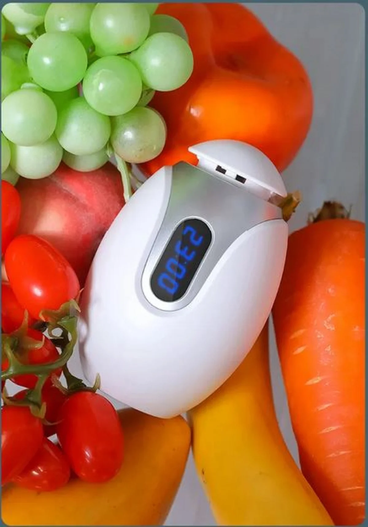 Επαναφορτιζόμενη Συσκευή Οζοντος για το Ψυγείο για Απολύμανση και Διατήρηση Τροφίμων