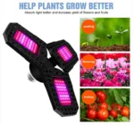 Φωτιστικό 60W LED Ανάπτυξης & Καλλιέργειας Φυτών Full Spectrum Λάμπα Θερμοκηπίου Εσωτερικού Χώρου - Plant Grow Panel Light