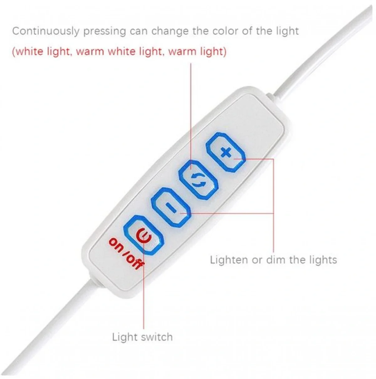 Επίτοιχο Διακοσμητικό Φωτιστικό Κορνίζα Τρισδιάστατης Τέχνης Dragon