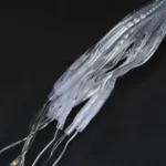 Κρεμαστά Διακοσμητικά LED Λαμπάκια Κουρτίνα - Γιρλάντα USB - 8 Λειτουργίες Φωτισμού & Τηλεχειριστήριο - Θερμό Λευκό Φως - 3x3m