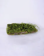 Διακοσμητικό Τεχνητό Φυτό Κορμός Deadwood 52x17x13cm