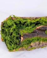 Διακοσμητικό Τεχνητό Φυτό Κορμός Deadwood 52x17x13cm