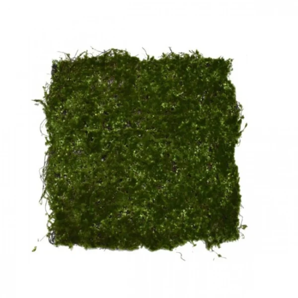 Συνθετικό Πάνελ Φυλλωσιάς για Κάθετους Κήπους 50X50