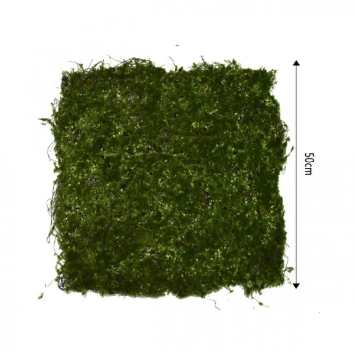 Συνθετικό Πάνελ Φυλλωσιάς για Κάθετους Κήπους 50X50