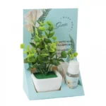 Αρωματοποιητής Γλαστράκι με Φυτό και Δώρο 10ml Αιθέριο Ελαιο με Αρωμα Τριαντάφυλλο
