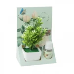 Αρωματοποιητής Γλαστράκι με Φυτό και Δώρο 10ml Αιθέριο Ελαιο με Αρωμα Γαρδένια