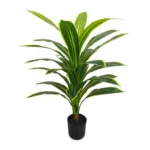 80cm Τεχνητό Διακοσμητικό Φυτό Δράκαινα σε Γλάστρα