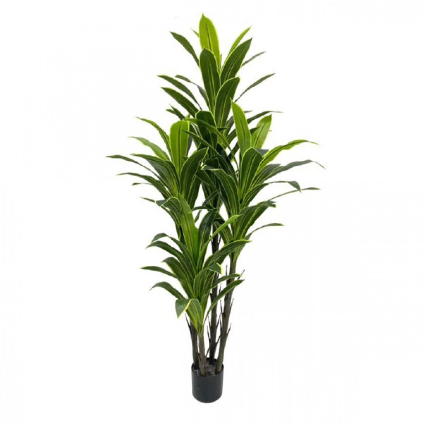 180cm Τεχνητό Διακοσμητικό Φυτό Δράκαινα σε Γλάστρα 180cm Τεχνητό Διακοσμητικό Φυτό Δράκαινα σε Γλάστρα