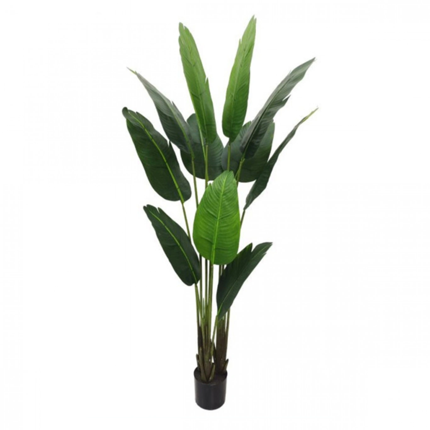 180cm Τεχνητό Διακοσμητικό Φυτό Πουλί του Παραδείσου σε Γλάστρα - Bird of Paradise 180cm Τεχνητό Διακοσμητικό Φυτό Πουλί του Παραδείσου σε Γλάστρα - Bird of Paradise