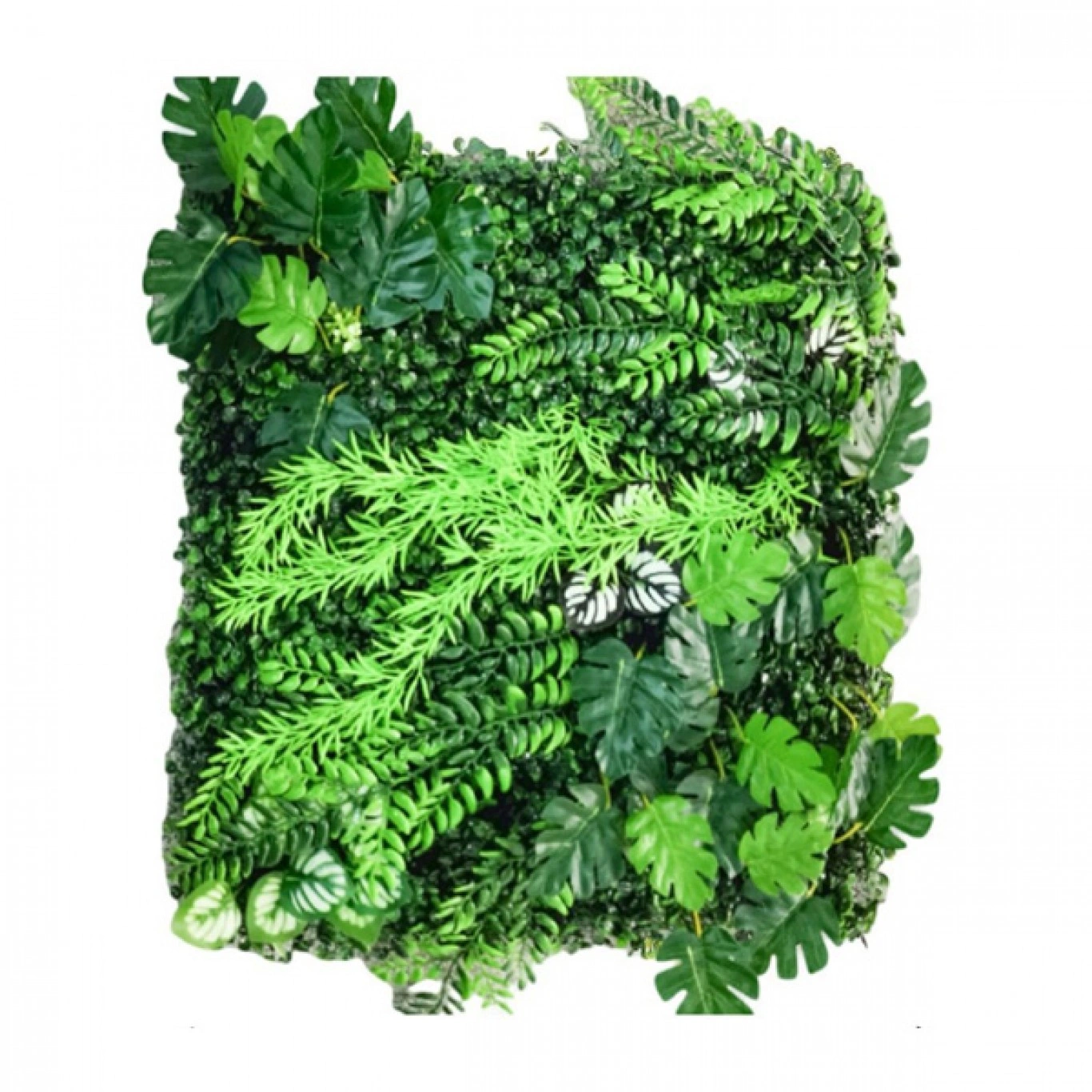 Τεχνητή φυλλωσιά 60x40εκ Φτέρη-Καλαθέα-Monstera Τεχνητή φυλλωσιά 60x40εκ Φτέρη-Καλαθέα-Monstera