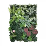 Τεχνητή Φυλλωσιά 60x42 εκ. Φτέρη - Καλαθέα - Φιλόδενδρο - Fittonia