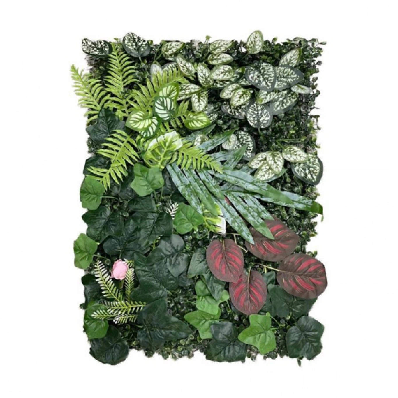 Τεχνητή Φυλλωσιά 60x42 εκ. Φτέρη - Καλαθέα - Φιλόδενδρο - Fittonia Τεχνητή Φυλλωσιά 60x42 εκ. Φτέρη - Καλαθέα - Φιλόδενδρο - Fittonia