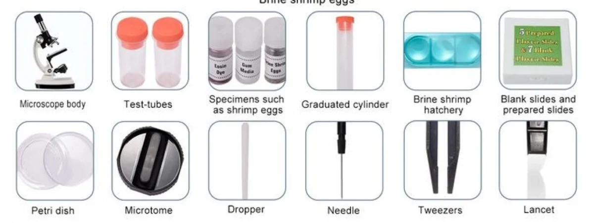 Σετ Εκπαιδευτικού Μικροσκοπίου με Μεγέθυνση έως 1200x & LED Φωτισμό, Ιδανικό για Παιδιά και Μαθητές