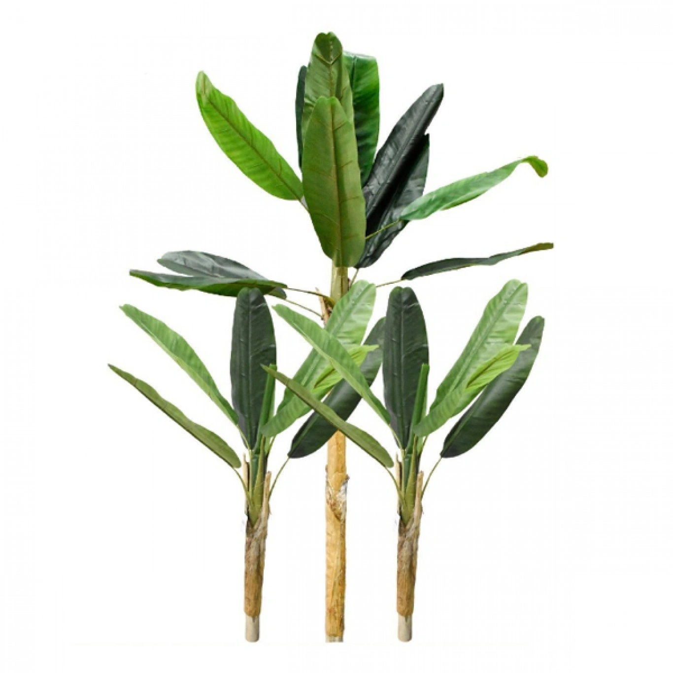 190cm Τεχνητό Διακοσμητικό Φυτό Μπανανιά σε Γλάστρα 190cm 190cm Τεχνητό Διακοσμητικό Φυτό Μπανανιά σε Γλάστρα 190cm