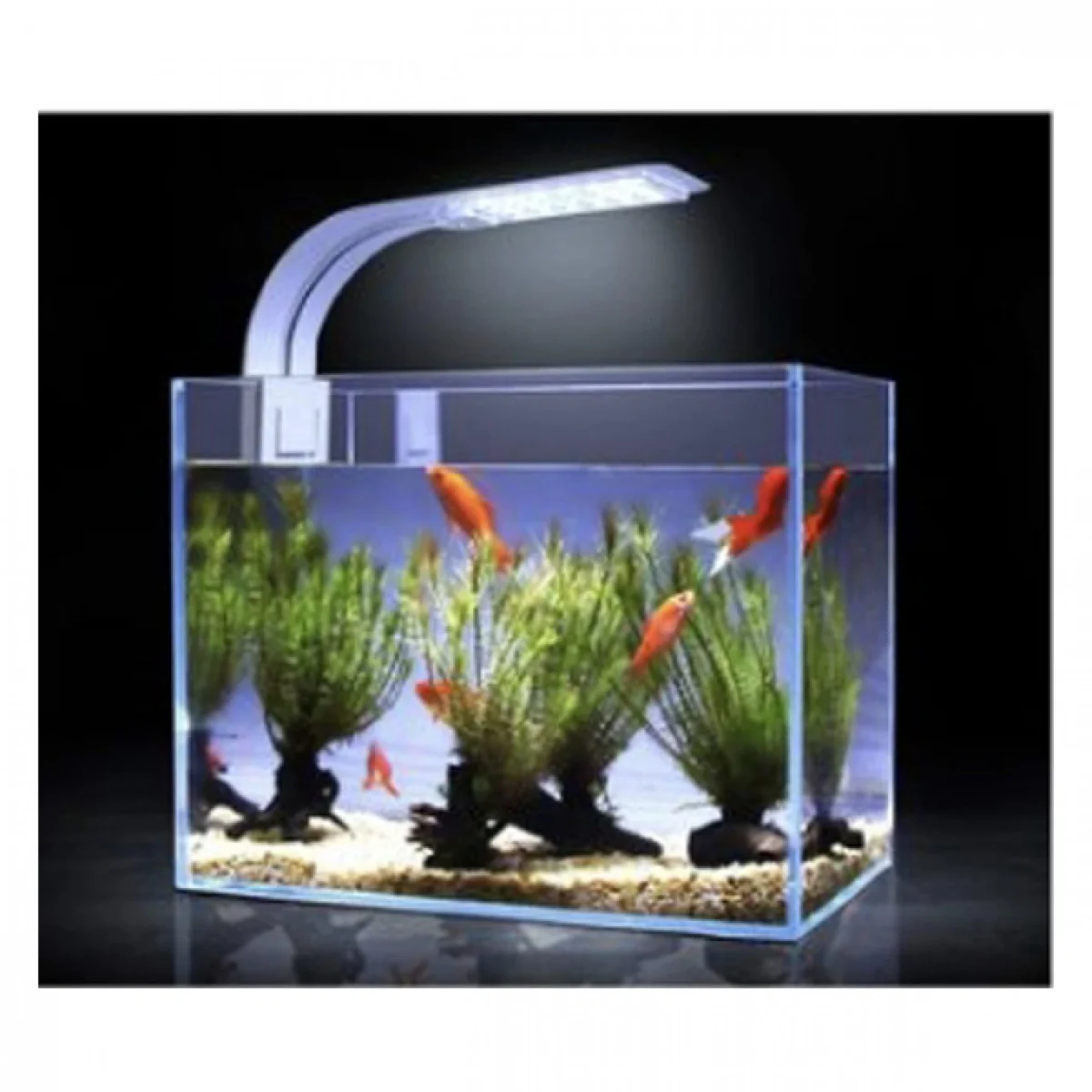 Φωτιστικό Ενυδρείου με Ιδανικό Φως Ημέρας για τον Φωτισμό του Ενυδρείου 22,5x12cm