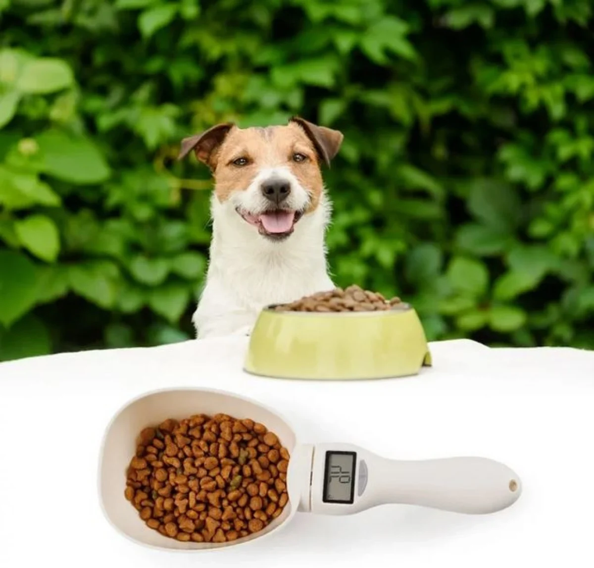Ψηφιακή Ζυγαριά Κουτάλι - Δοσομετρητής Τροφής Κατοικιδίων 1-800gr