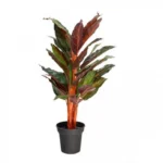 95cm Τεχνητό Φυτό Κορδυλίνη σε Γλάστρα
