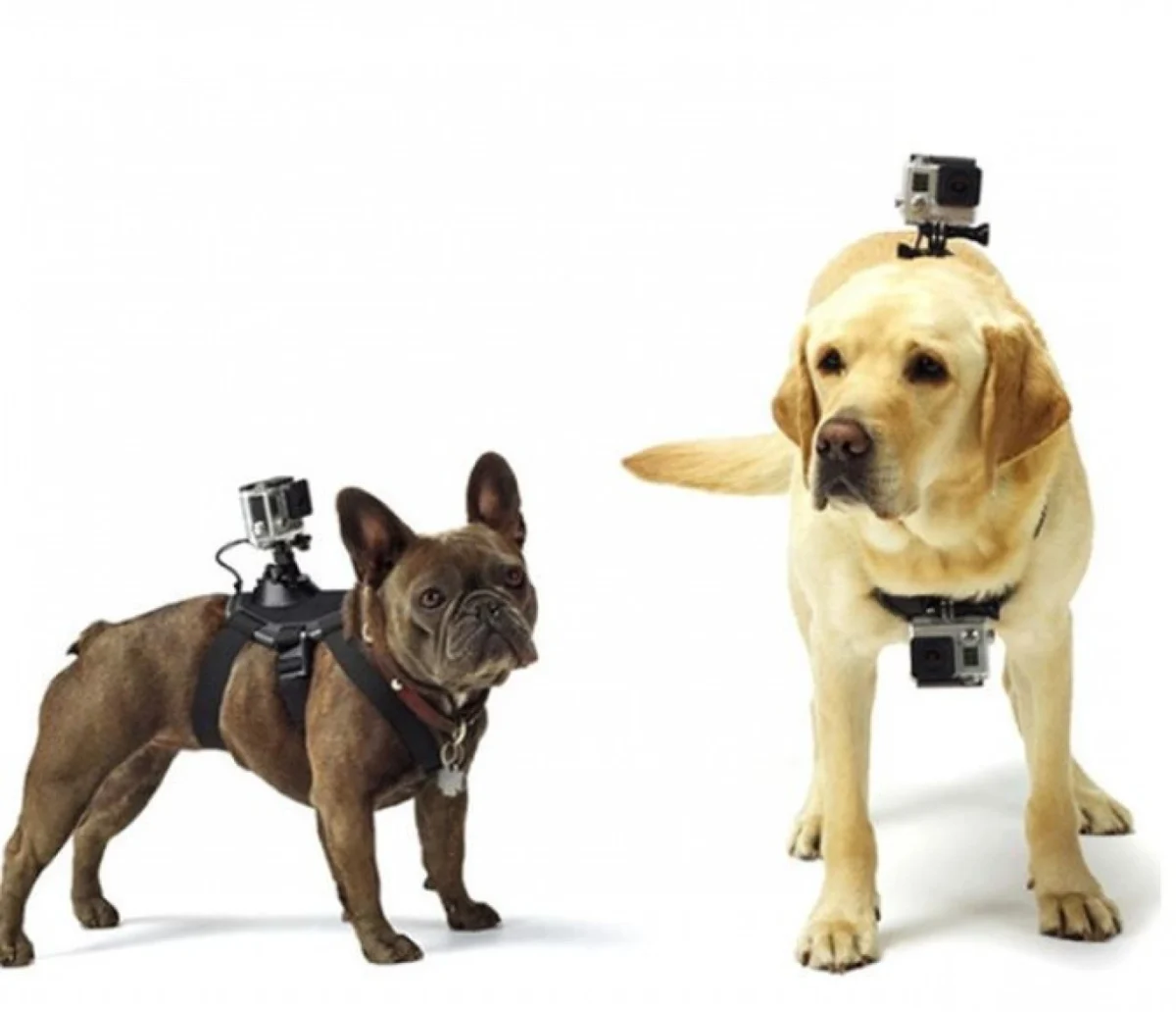 50 σε 1 Puluz® Πλήρες Σετ Βαλιτσάκι Αξεσουάρ για Action Cameras