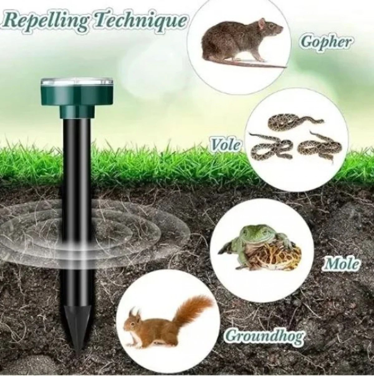 Σετ Κλειδί με Καστάνια 36τμχ με Βαλίτσα Μεταφοράς