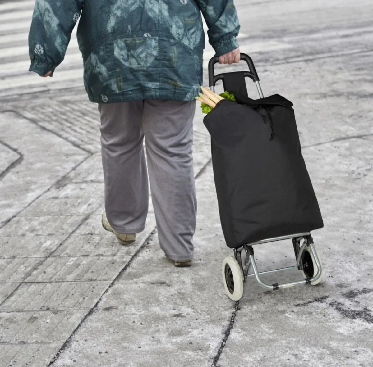 Αναδιπλούμενο Καρότσι Λαϊκής με Σκελετό Αλουμινίου 42x35x100 εκ. με Αδιάβροχη Επένδυση