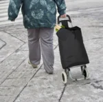 Αναδιπλούμενο Καρότσι Λαϊκής με Σκελετό Αλουμινίου 42x35x100 εκ. με Αδιάβροχη Επένδυση