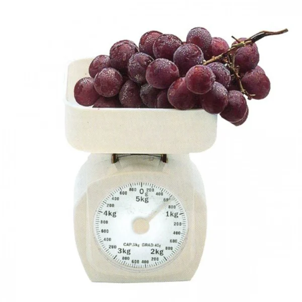 Ζυγαριά Αναλογική 5kg με Υποδιαίρεση 40gr